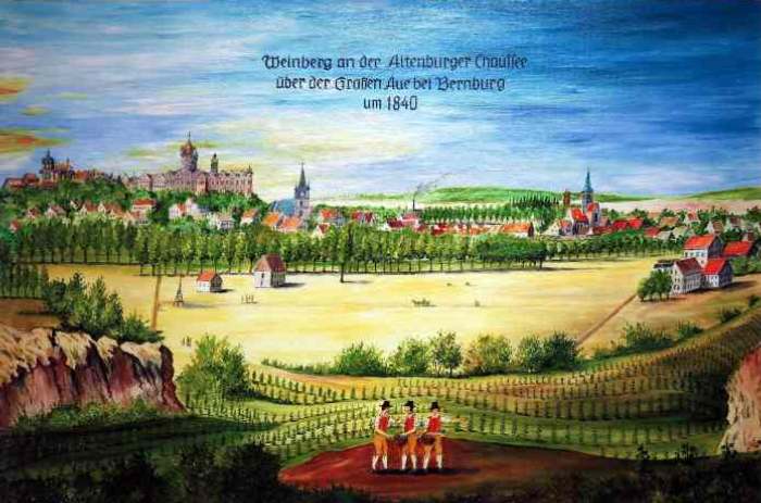 Weinberg an der Altenburger Chaussee bei Bernburg um 1840